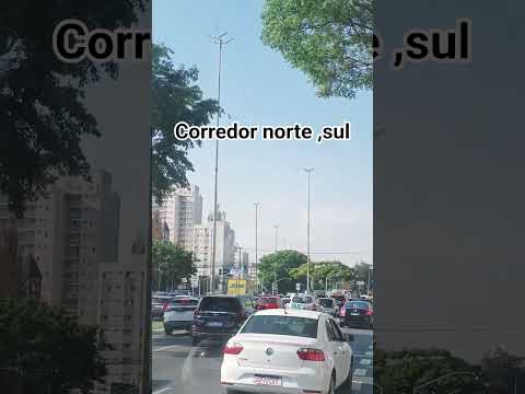 Mais um registro na cidade #sp #shorts #brasil