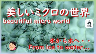 氷が溶けていく様子!ミクロの世界。The ice is melting! micro world.
