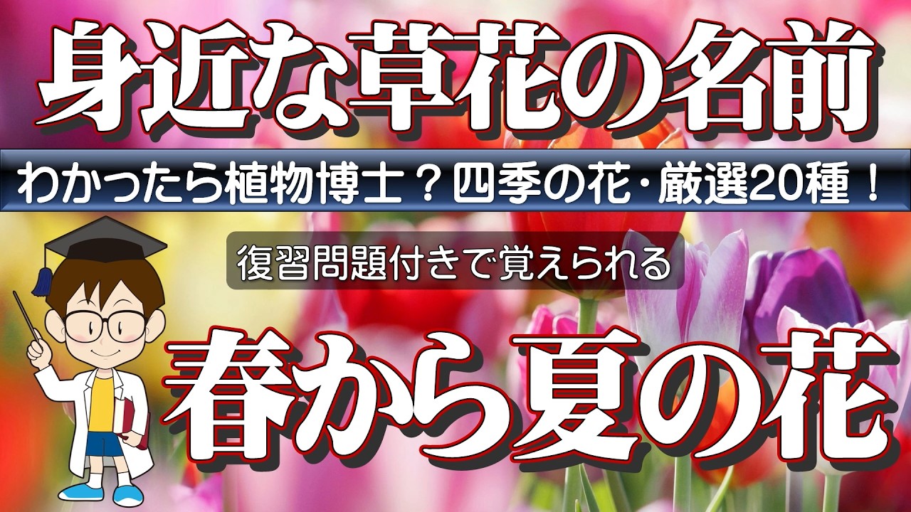 豆知識つきで「何となく見てるだけ」で覚えられる！春~夏の花厳選20種。わかったら植物博士？復習問題で楽しく覚えられる。