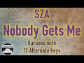 SZA - Nobody Gets Me Karaoke Instrumental Lower Higher Male Original Key