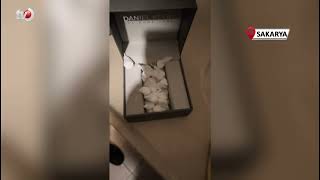 Mücevher Kutusundan 38 Parça Kokain Çıktı 1 Tutuklama