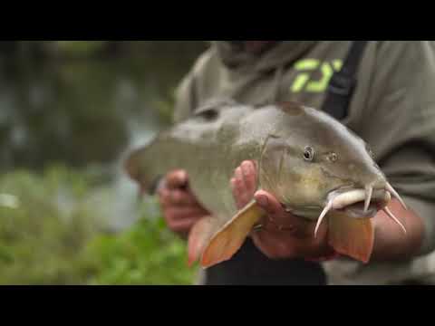Bob Roberts: Maggot Feeder Rig For Barbel