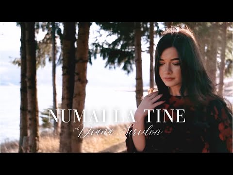 Diana Scridon - Numai la Tine | Official Video