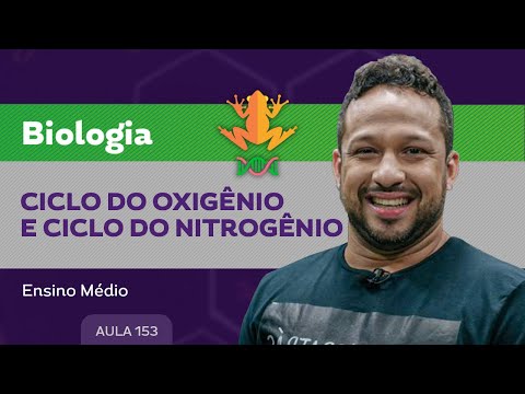 Ciclo do oxigênio e ciclo do nitrogênio - Biologia - Ensino Médio