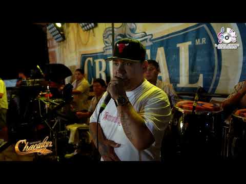 Chacalon Jr - Déjame Ya / Guitarra Chichera - Rumba en Venecia - 2024