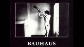 Bauhaus - Rosegarden Funeral of Sores