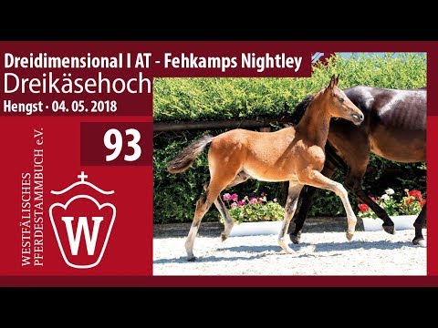 093 Dreikäsehoch HF v. Dreidimensional - Fehkamps Nightley