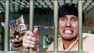 MY CAT'S LAWYER HATES ME (feat. Amir Blumenfeld!)