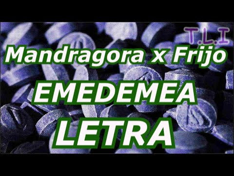 Mandragora x Frijo - EMEDEMEA LETRA