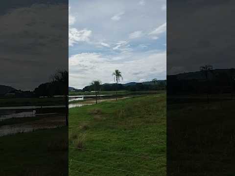 São Luís de Montes Belos, GO.#turismo #viagem #goias #saoluisdemontesbelos