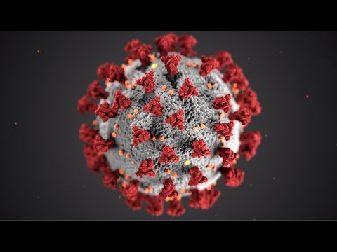 Confronting COVID-19: a special webcast with McGill health experts