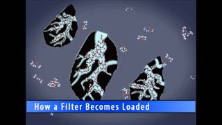 Download the video "Sentry Air Systems Demonstrates How Activated Carbon Works in a Filter"