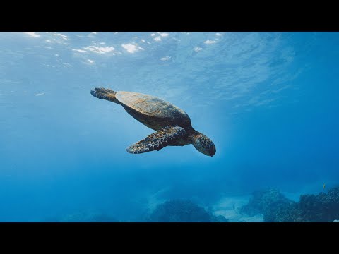 Ranta, dub.format - Keep (Ranta Melodic Deep Remix)