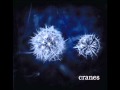Cranes - Invisible