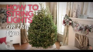 How to String Christmas Tree Lights | Holiday Essentials