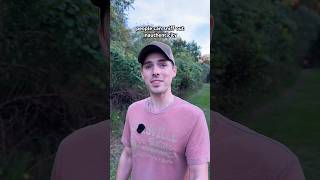 Download lagu you’re peaking around the corner of inauthenticity mp3