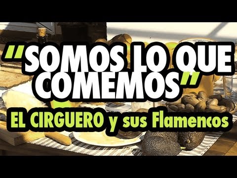 Somos lo que comemos - EL CIRGUERO Y SUS FLAMENCOS