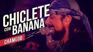 Chiclete com Banana   Chamego   YouTube Carnaval 2014