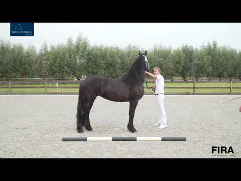 Locatiekeuring Stal van Manen 13-8-2020