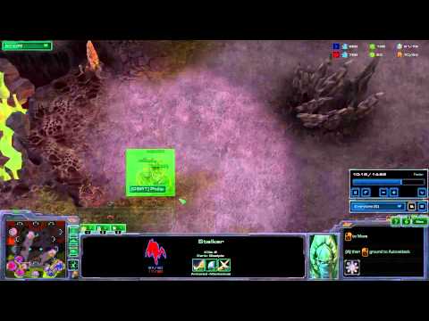 UP n DOWN THE LADDER - Episode 24: Roachi smoachi