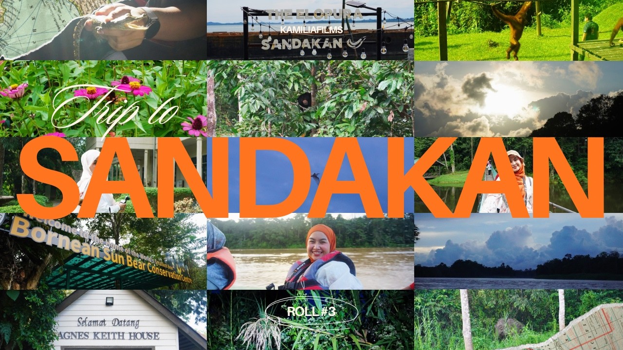 [#kamiliafilms] Roll #3 Catching Borneo Big 5!; Sandakan Edition! Sepilok & Kinabatangan River
