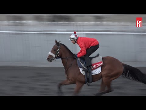 Hippisme : A qui ira le Princess Margaret Cup ?