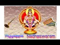 Ayyappa Swami Nadhaswaram