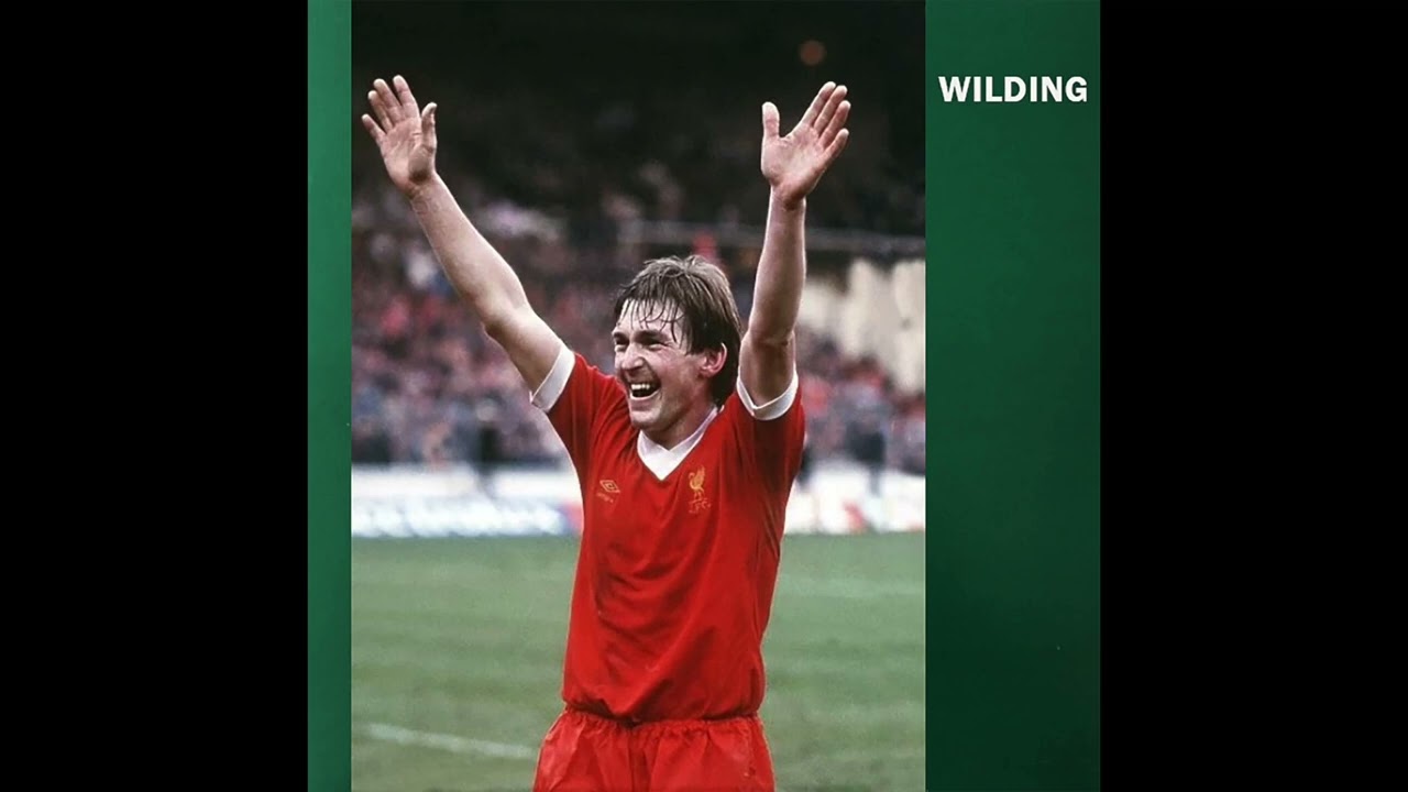 Wilding - Logical Steve