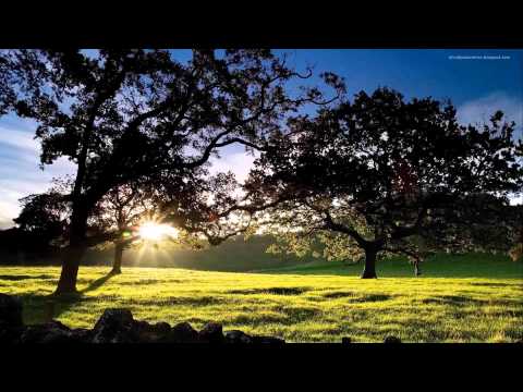 ⁣NaderWanis 05 anameshwah - أنا مش وحداني