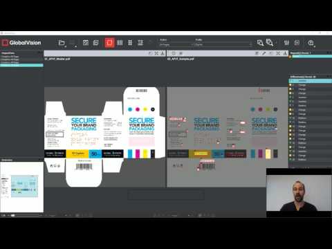 Graphics Inspection Overview