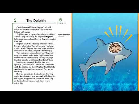 Facts and Figures - Unit 1: Animals - Lesson 5: The Dolphin