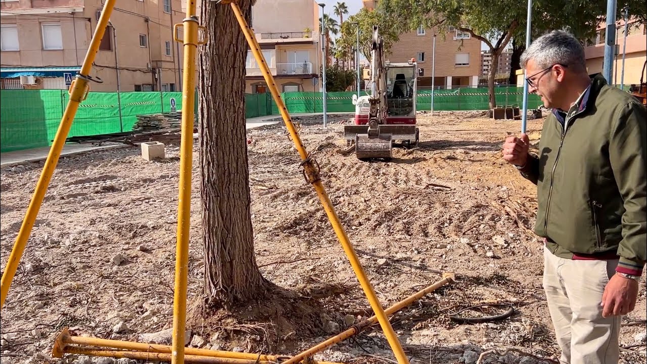 El Ayuntamiento de Águilas se ve obligado a sustituir los árboles de la Plaza de la Estación