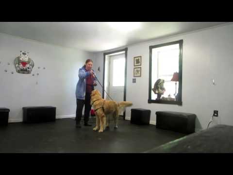 Positive Reinforcement - Skills training