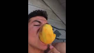 Cover art for mango on a fork