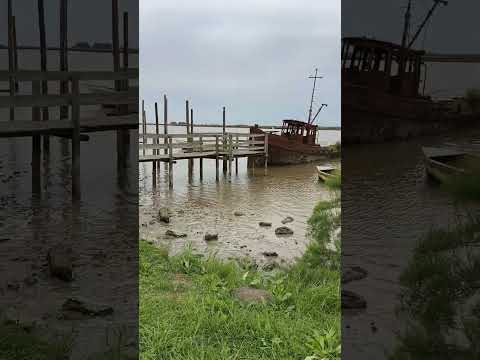 futuro muelle #gral #lavalle .esperando la corvina negra 2025