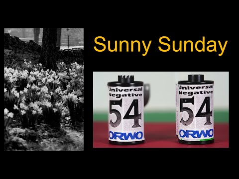 ORWO UN54 | studio shots | Sunny Sunday |