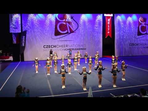 JNS Tweeties - team peewee L1