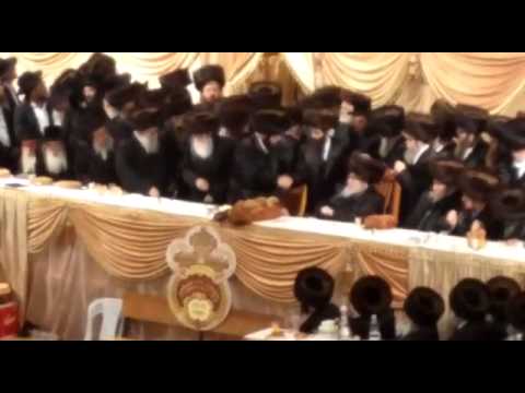 Clip from the Belzer Wedding 6/2/2015