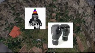 Trying Out the Gorilla Tag PUNCH MOD!!! (crazy)