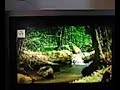Cartoon Network USA Continuity And Adverts April 27 2018 WITH MMS QUALITY AND 4 3 SOUND