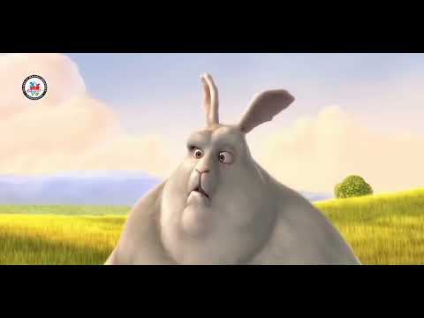 Maaymaala Vaalkai | DRM CHILDREN TV. #song