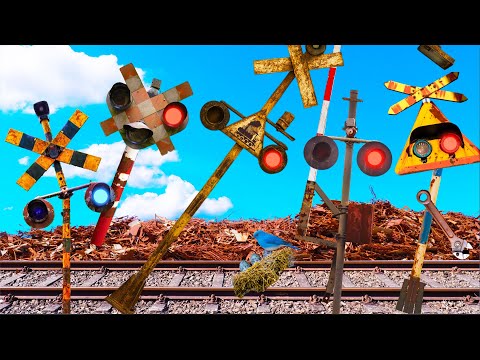 The Railroad Crossing That Was Abandoned for Years and Turned into a Tree