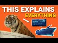 1 Word That Explains Life Of Pi S Ending Video Essay
