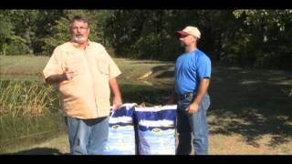 Raising Catfish in Small Ponds