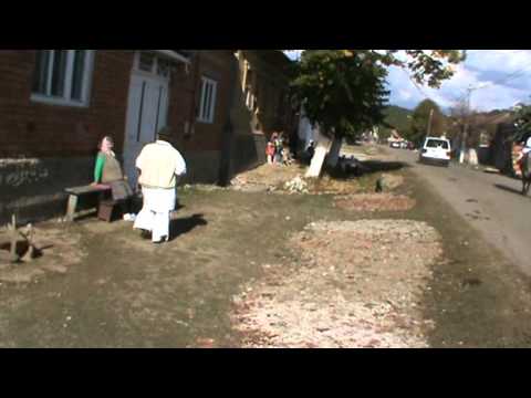 balul rachiei carnecea 2011