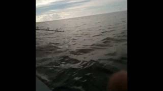 Pescaria nas Ilhas Rasa,Guarapari II