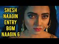 Naagin 6 Shesh Naagin Entry BGM Ep 6