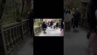 Download lagu Ijuk Lesti Kejora #aLmaheraMaissy mp3