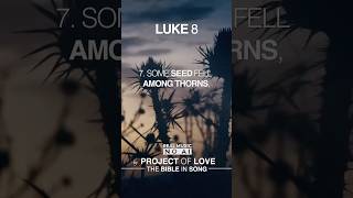 Bible in Song: The Seed (Luke 8) by Project of Love #christianmusic #bibleinsong #scripture