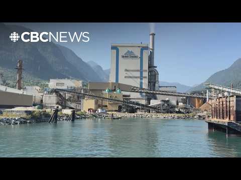 ‘Worst news’: Workers told Sunshine Coast mill shutting down after 117 years